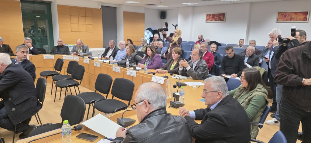 Η Δήμαρχος Ραφήνας – Πικερμίου στη συνεδρίαση της ΠΕΔ Αττικής για τον Νέο Κώδικα